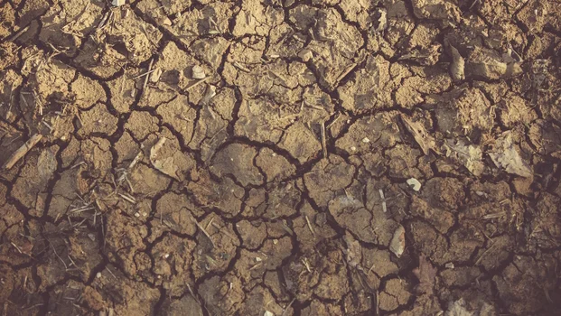 Cracked clay