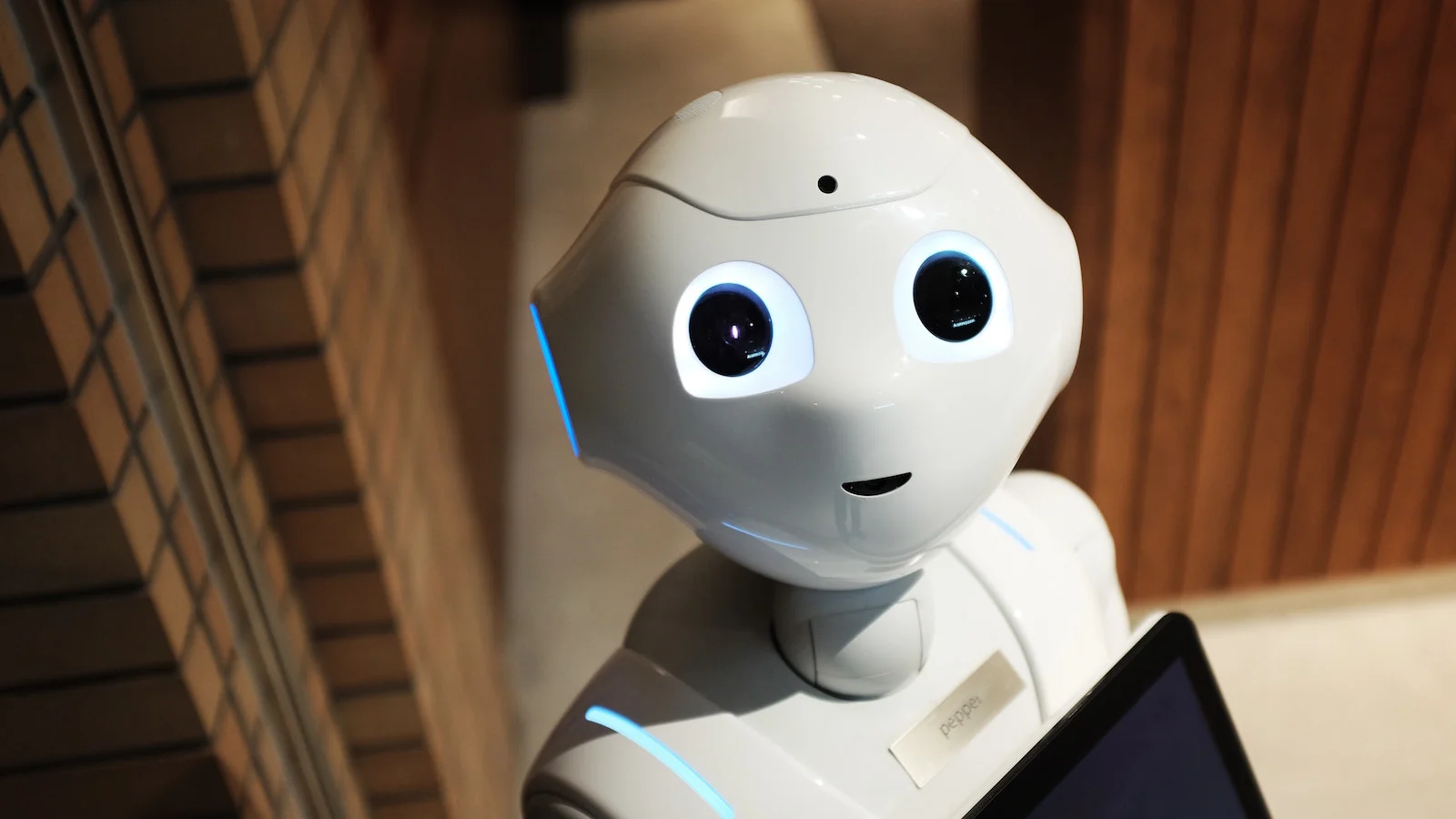 AI Robot