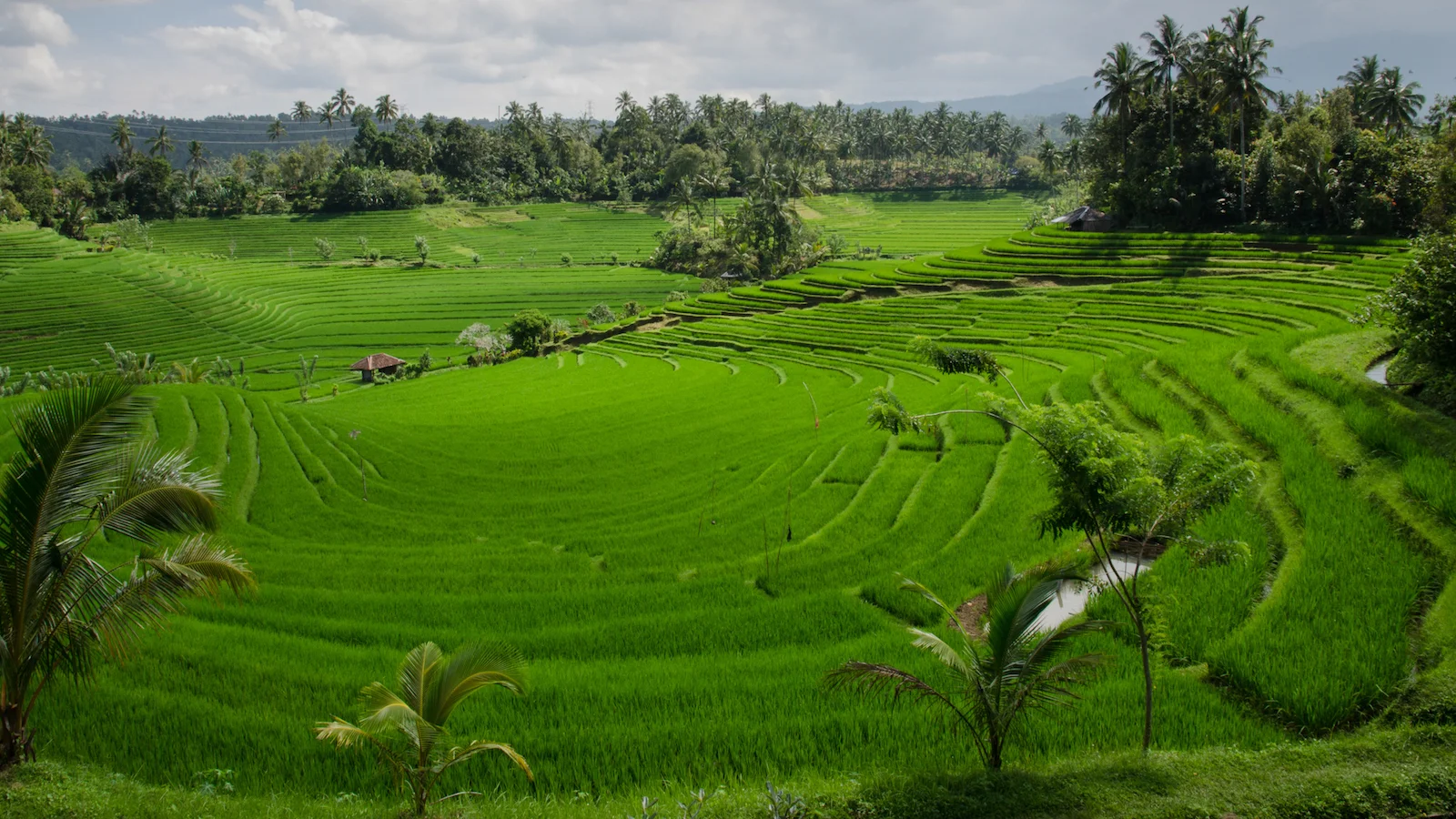 agriculture farm
