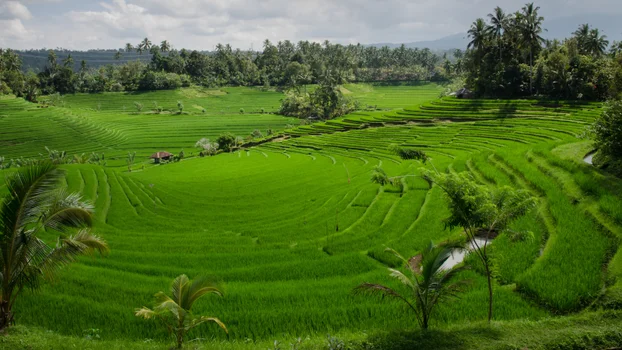 agriculture farm