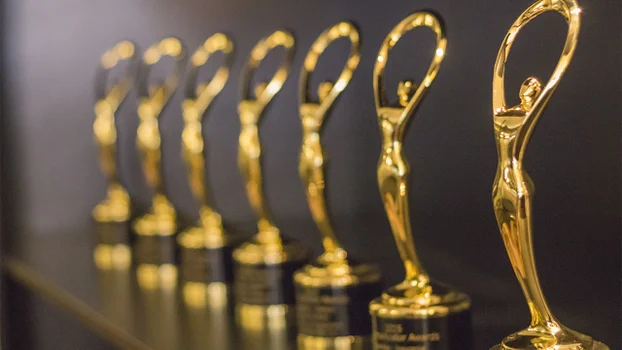 Communicator Awards