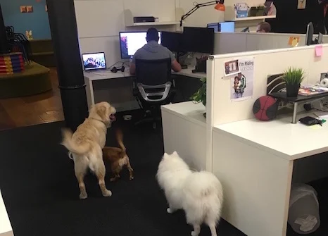 FAB Working