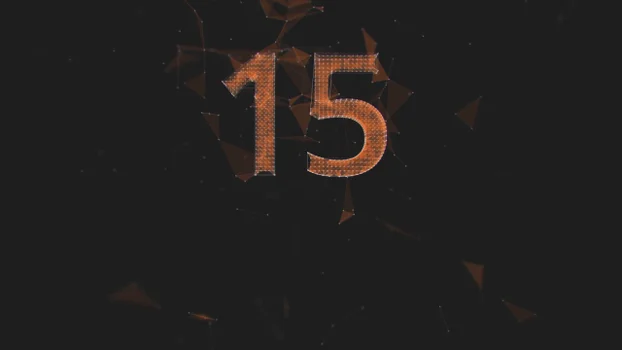 15 Poster