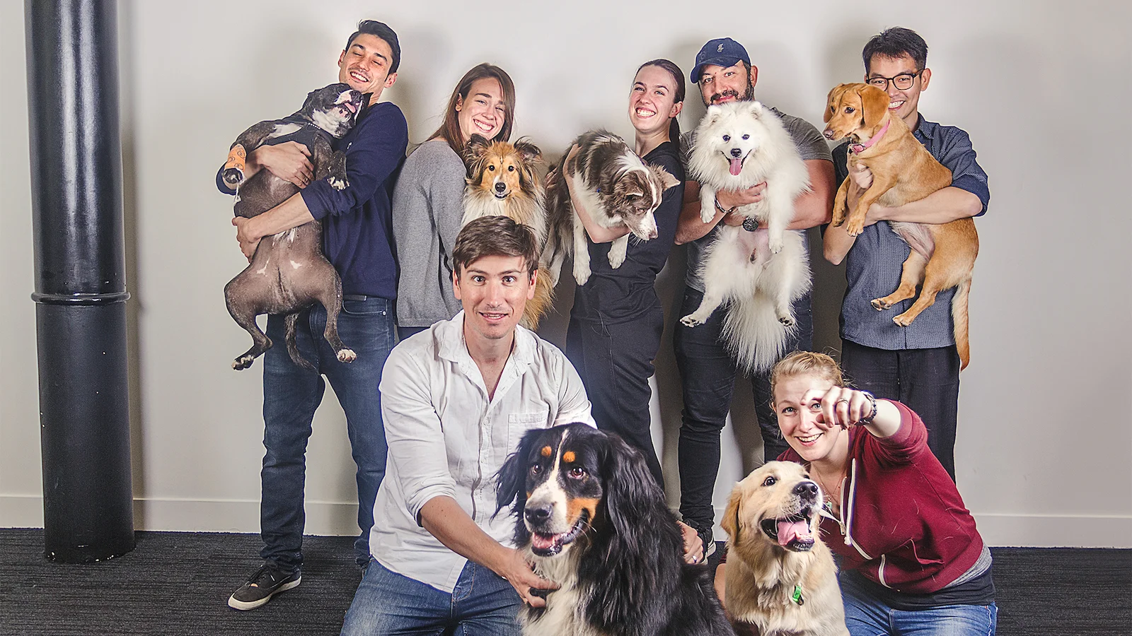 Dogs In The Office