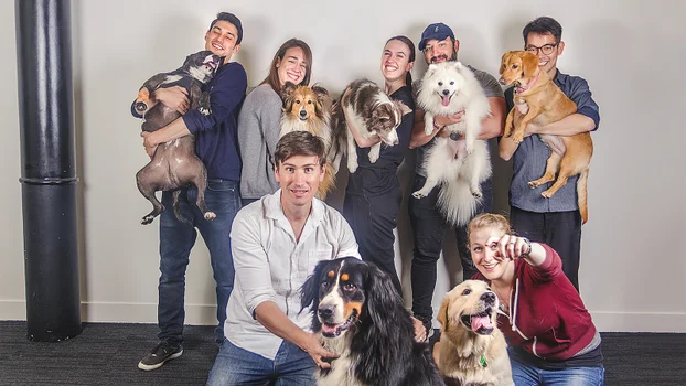 Dogs In The Office