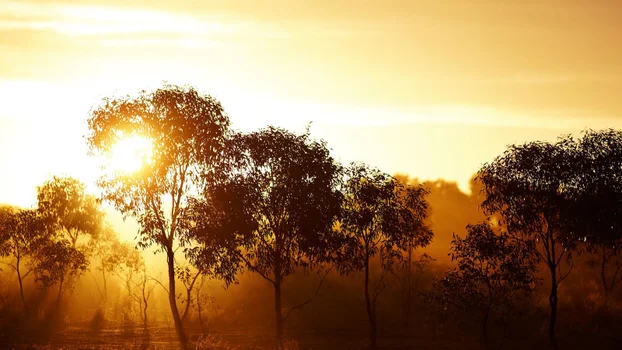 Yarra Yarra Biodiversity Corridor, Western Australia