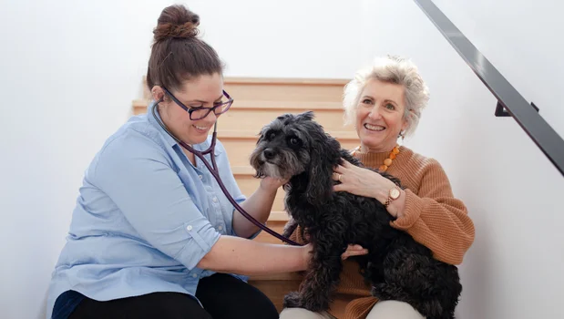Vets on Call