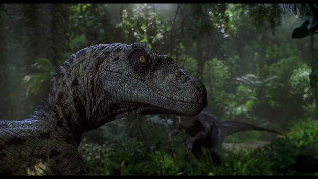 Velociraptor